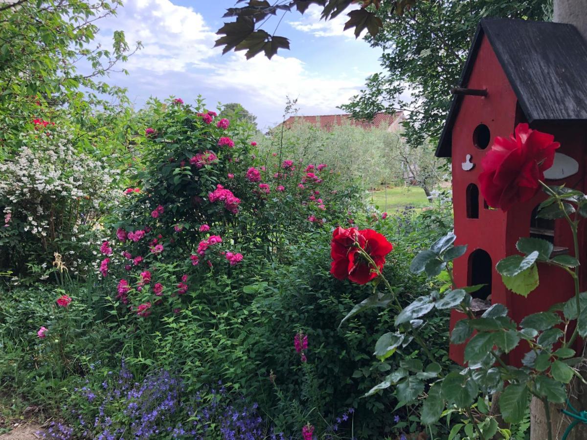 Apartmani Dubasnica Malinska Esterno foto